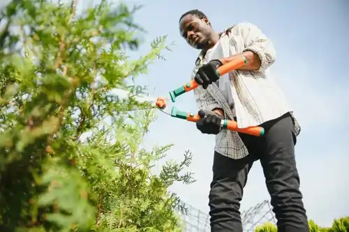 male gardener at work