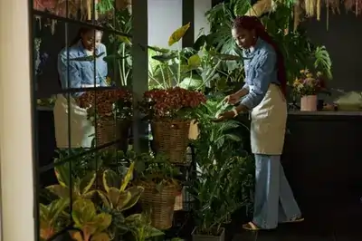 young woman caring for indoor plants